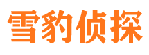 金阳找人公司